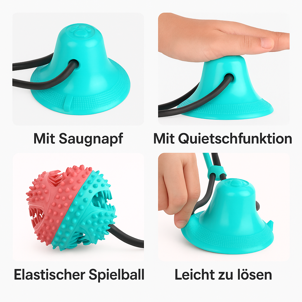 Großer Saugnapf-Spielball - Paw Toy
