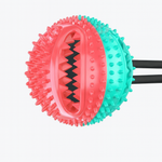 Großer Saugnapf-Spielball - Paw Toy