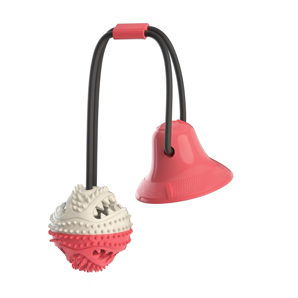 Großer Saugnapf-Spielball - Paw Toy